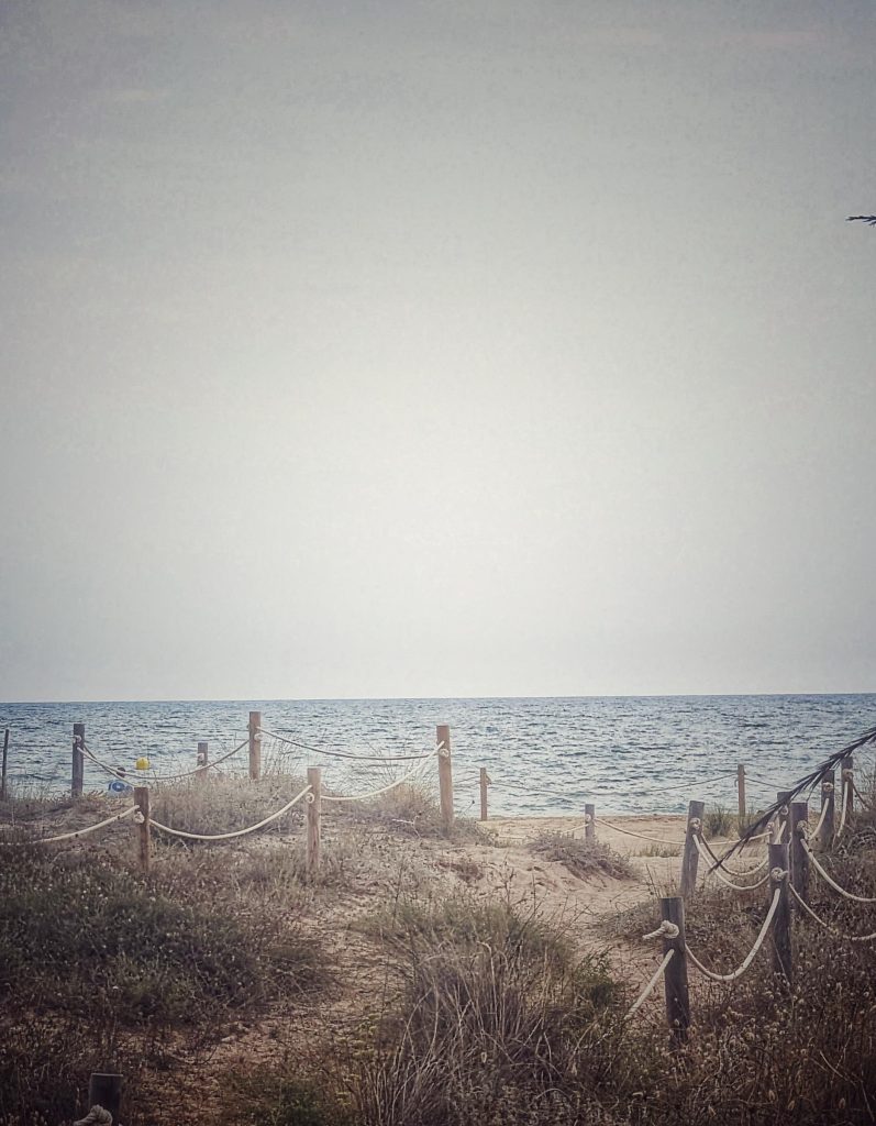 Blick auf Dünen mit Meer im Hintergrund